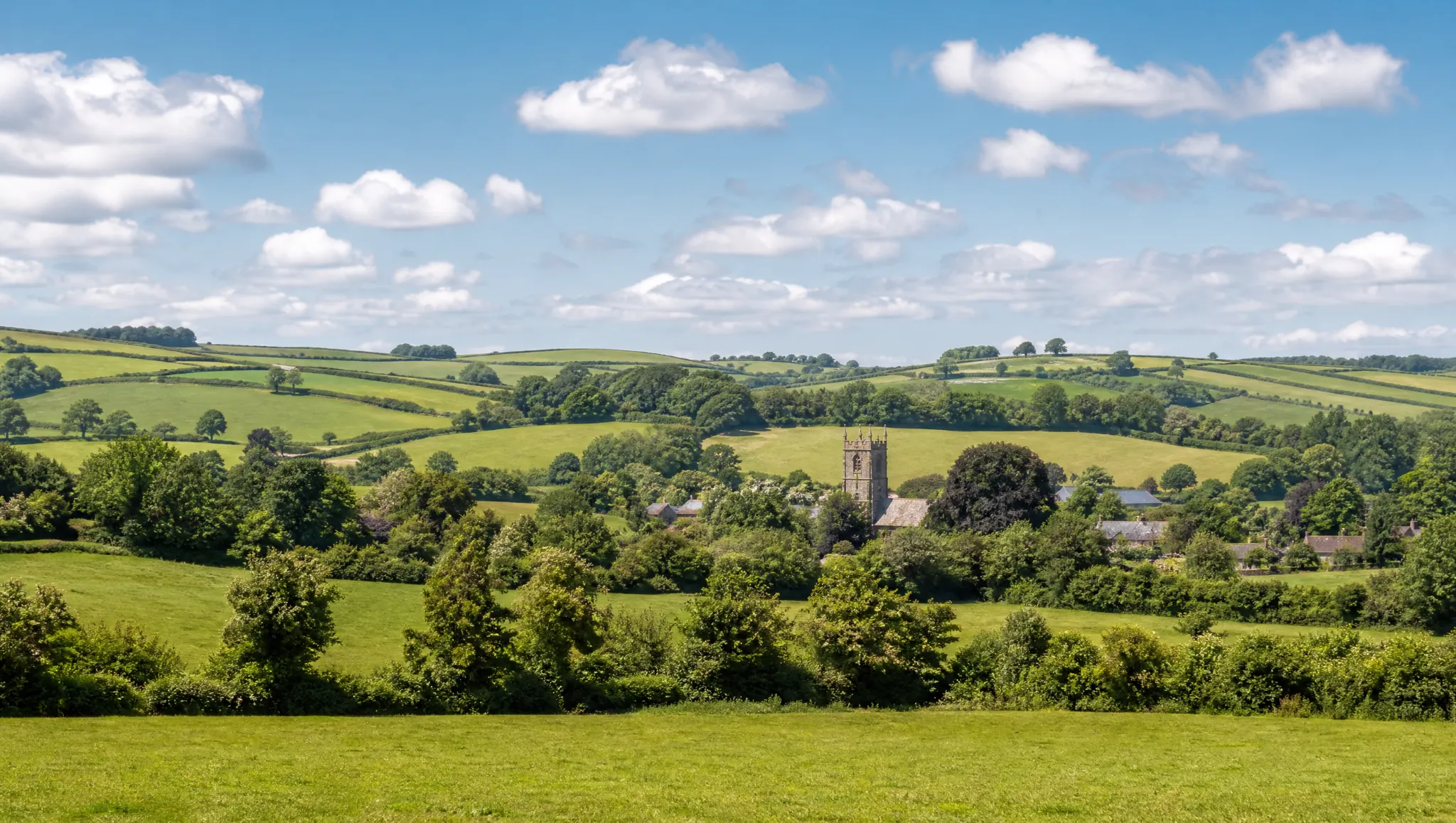 Green East Devon farmland with a village church tower in the distance